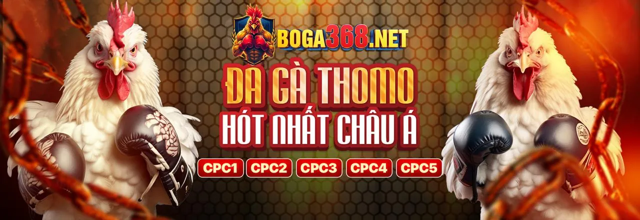 Sứ mệnh và tầm nhìn của d88 đăng nhập