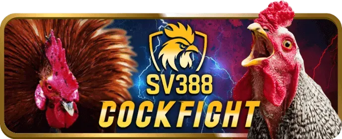 Bảo vệ tài khoản D88