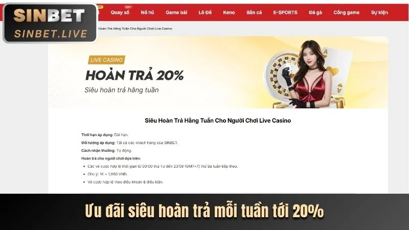 Các cấp độ VIP D88